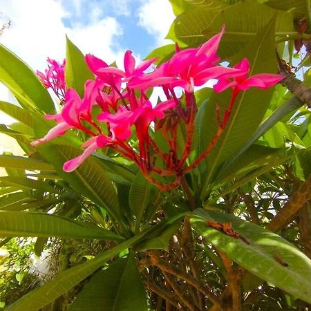 Beautiful 3 Bedroom Townhouse In Urb. Tropicana, Nerja Exterior photo